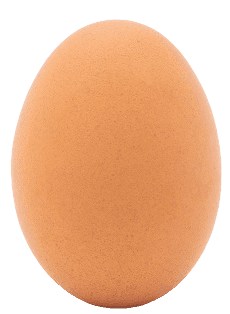 Egg